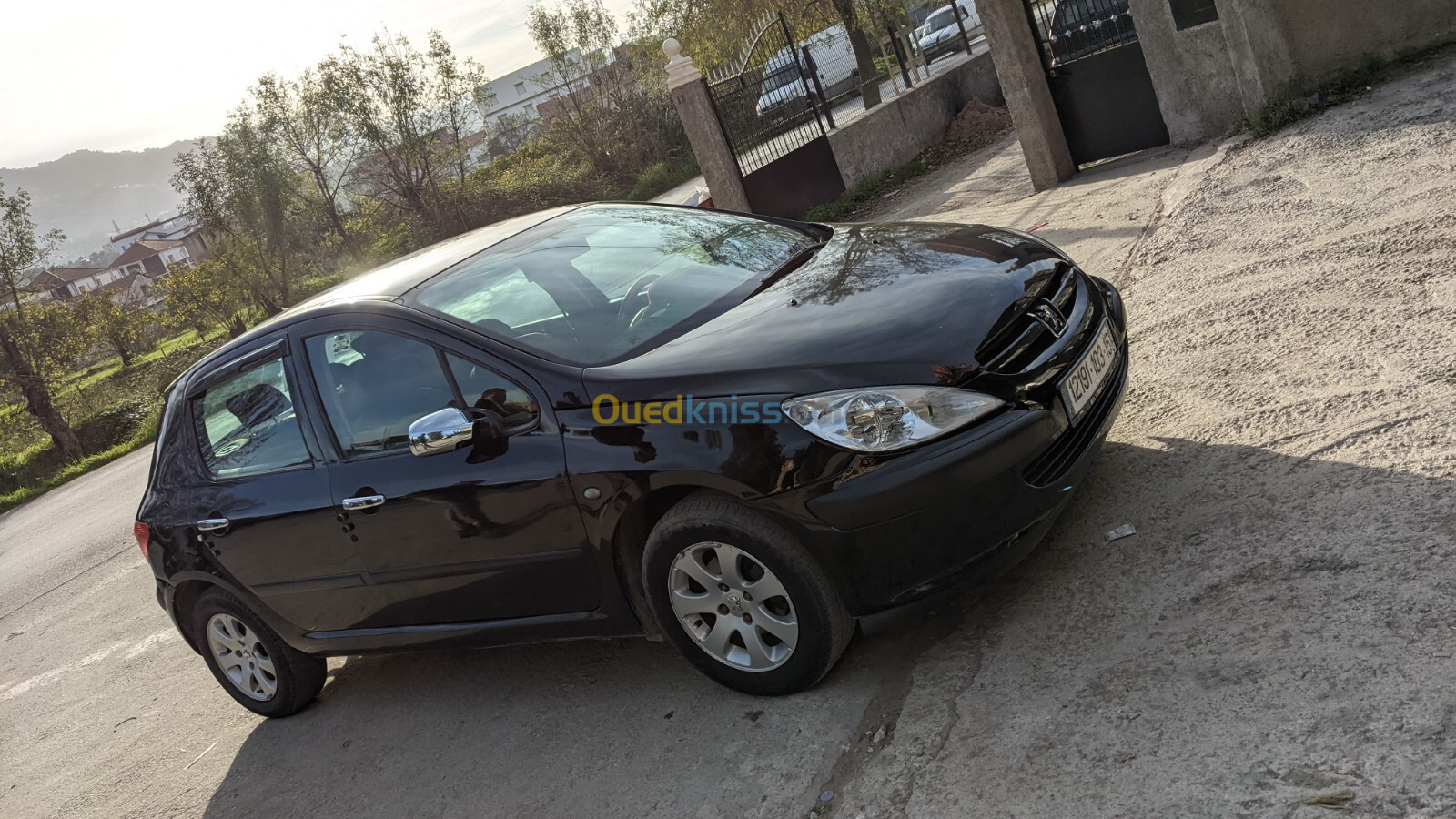 Peugeot 307 2003 XT