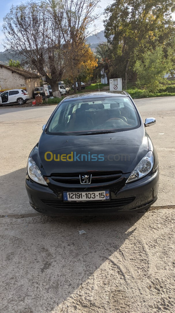 Peugeot 307 2003 XT