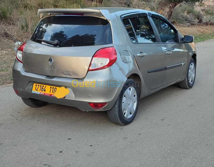 Renault Clio 3 2010 Clio 3