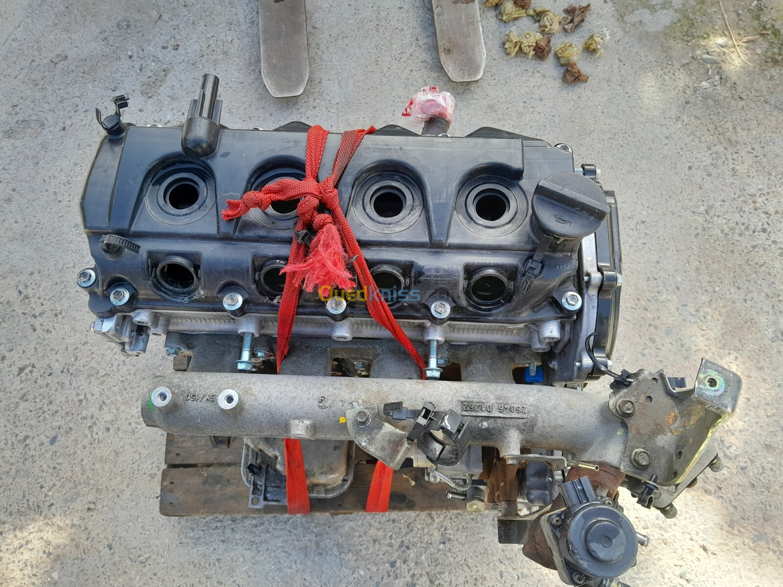 Moteur Nissan navara 