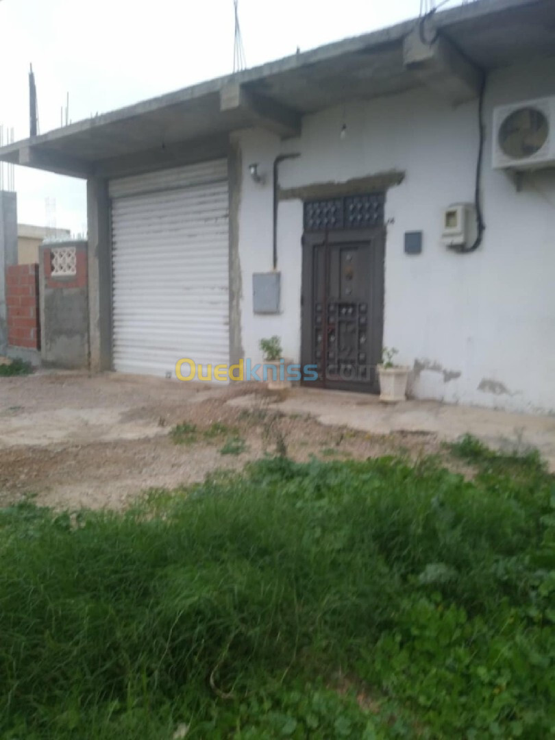 Vente Villa Guelma Djeballah khemissi