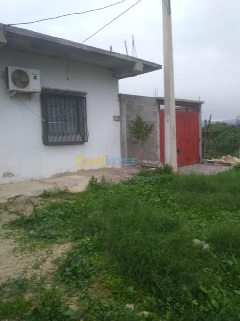 Vente Villa Guelma Djeballah khemissi