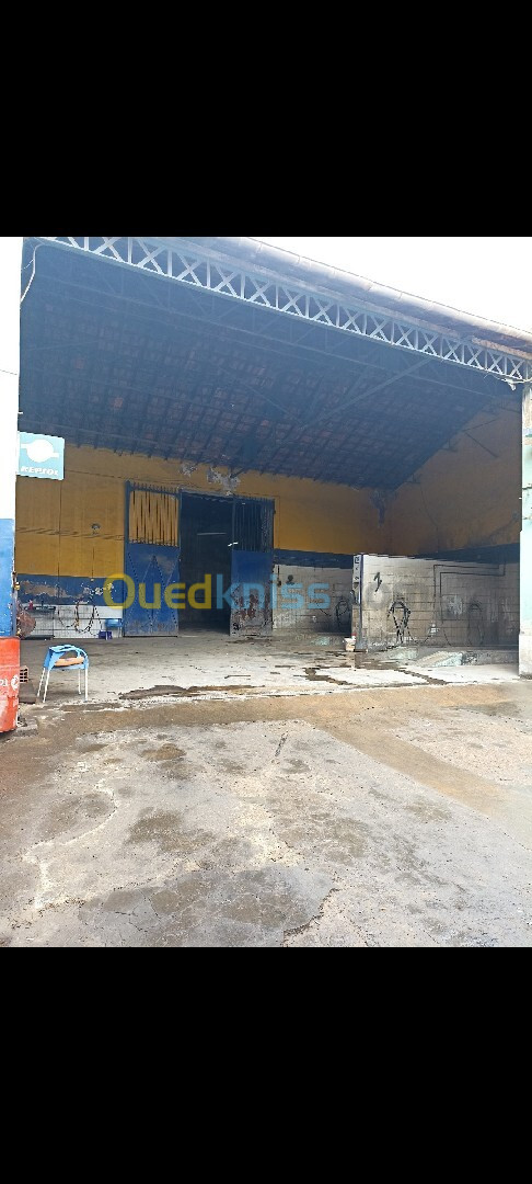 Vente Hangar Sidi Bel Abbès Sidi bel abbes