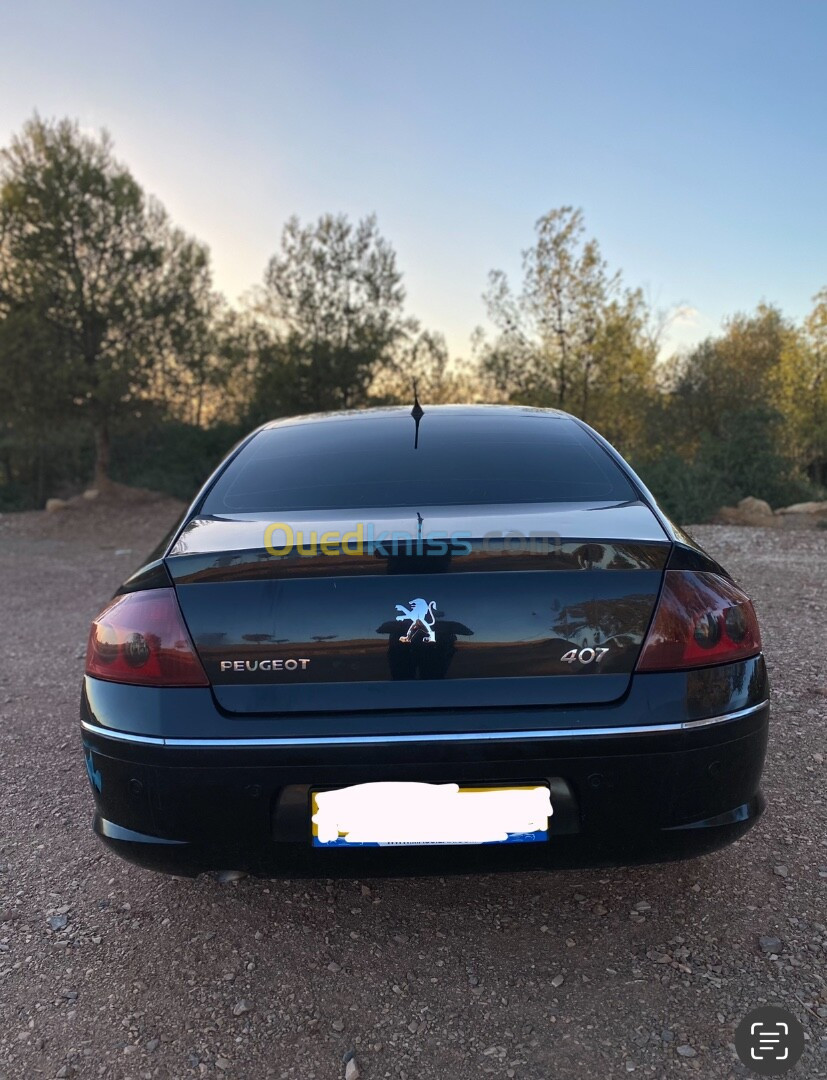 Peugeot 407 2006 407