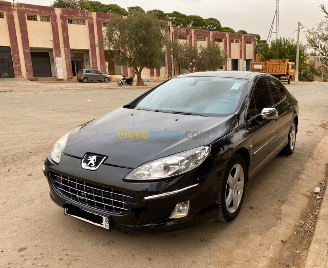 Peugeot 407 2006 407