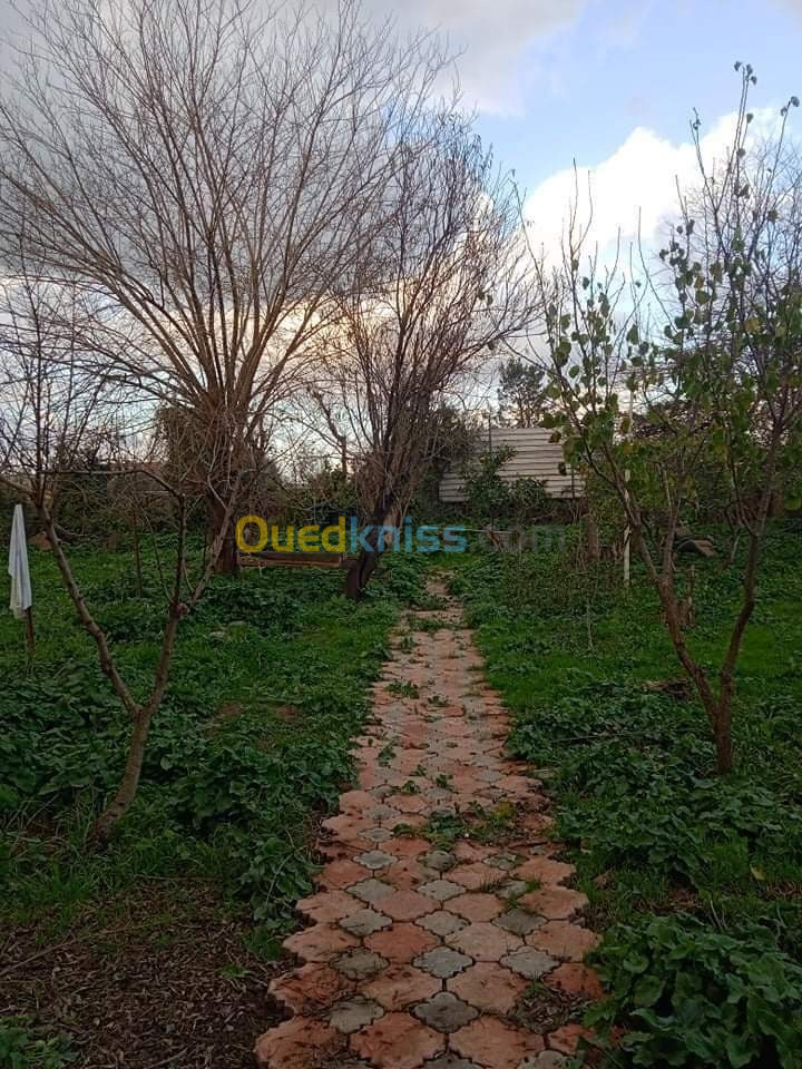 Vente Villa Blida Guerrouaou