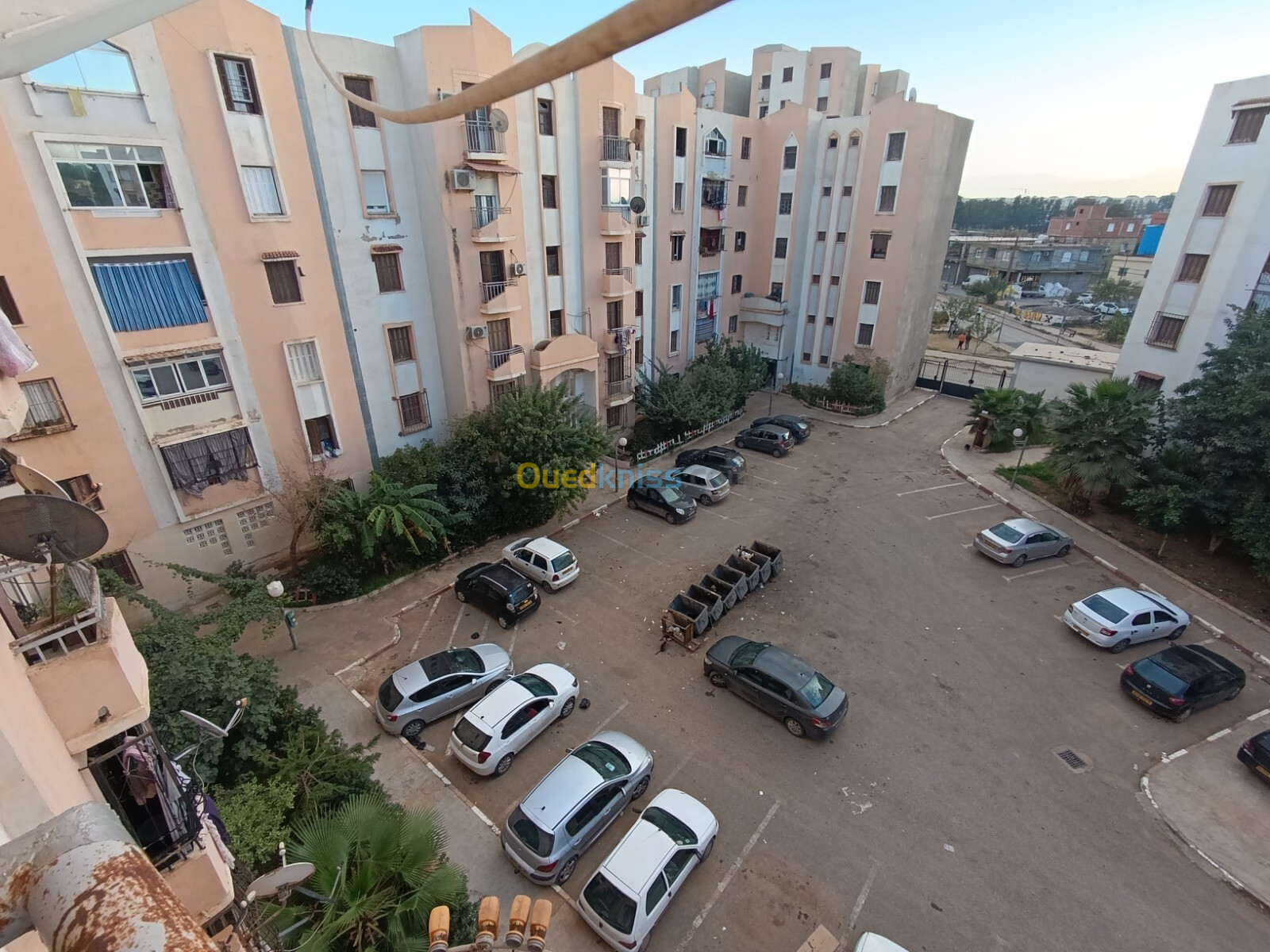 Location Appartement F3 Alger Les eucalyptus