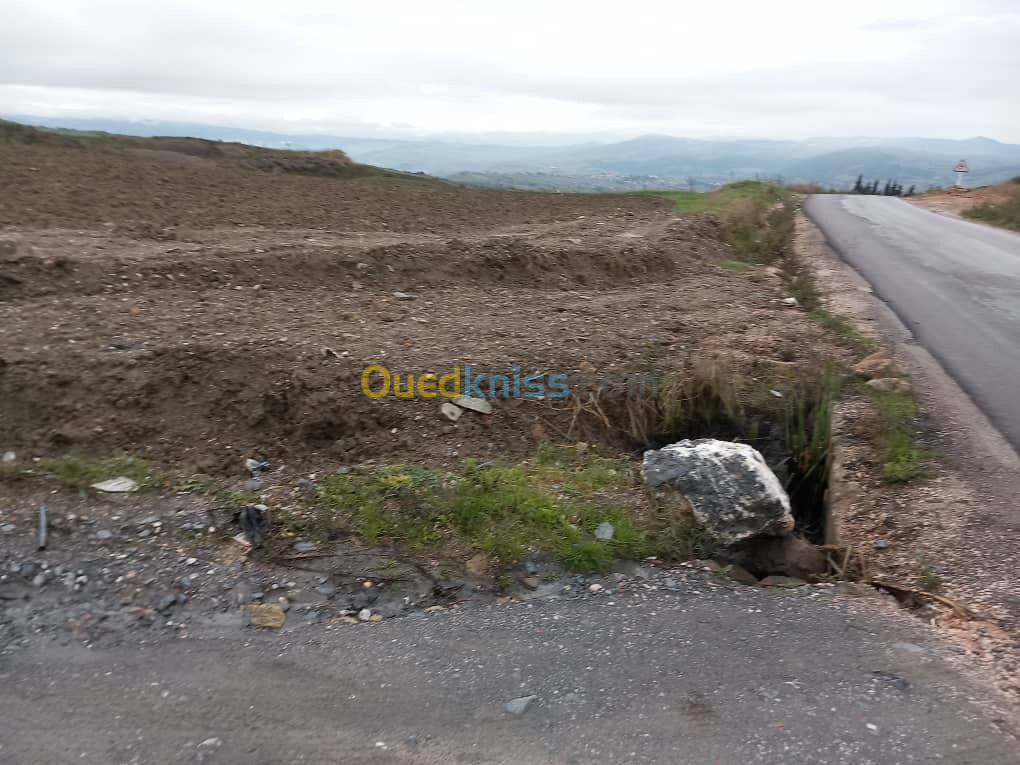 Vente Terrain Boumerdès Ben choud