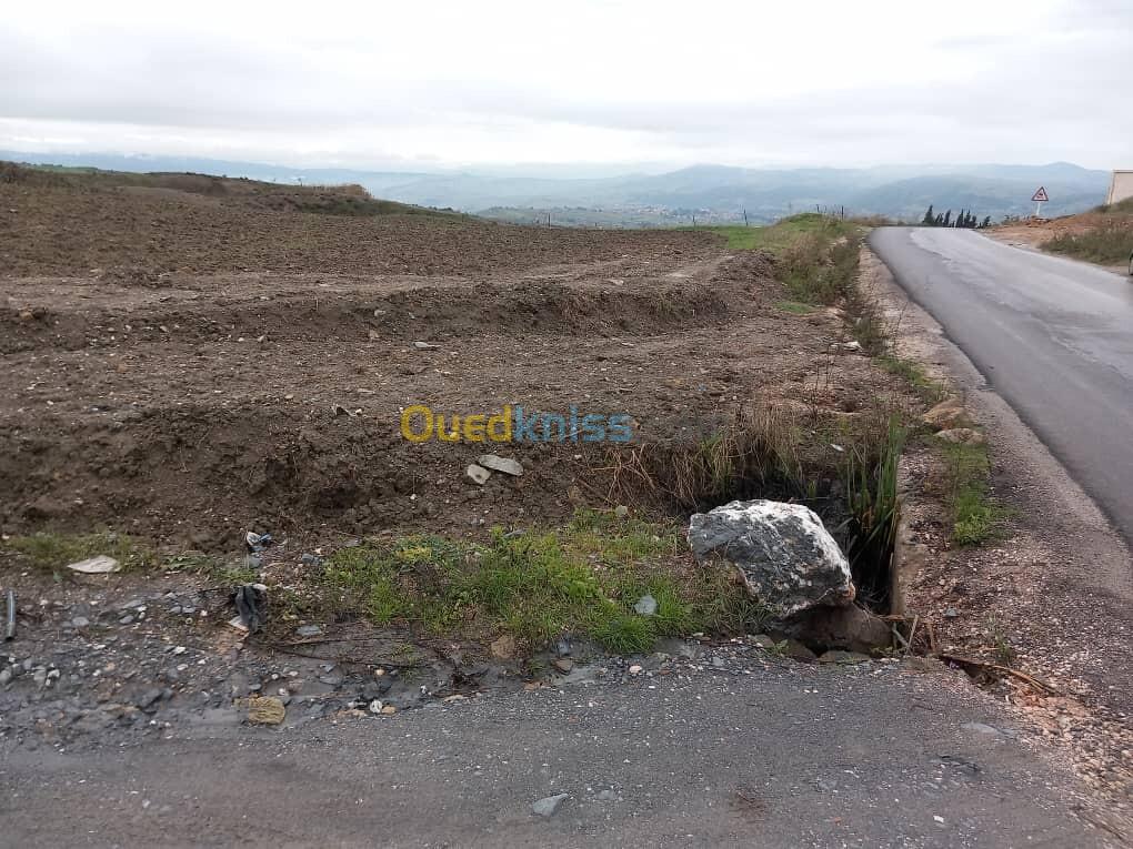 Vente Terrain Boumerdès Ben choud