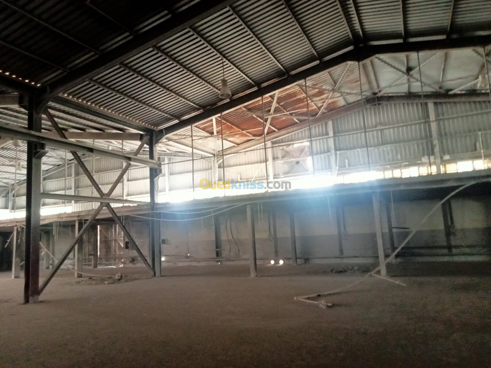 Vente Hangar Alger Dar el beida