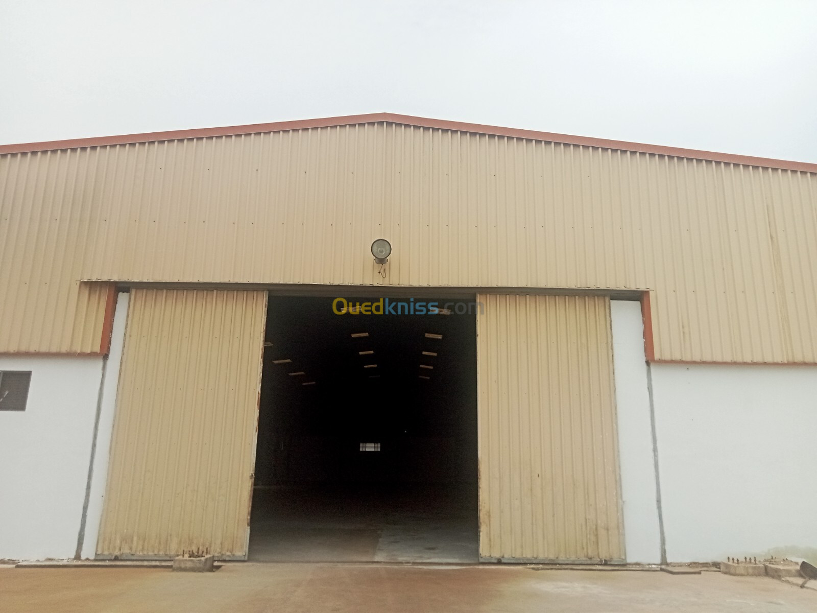 Location Hangar Blida Meftah