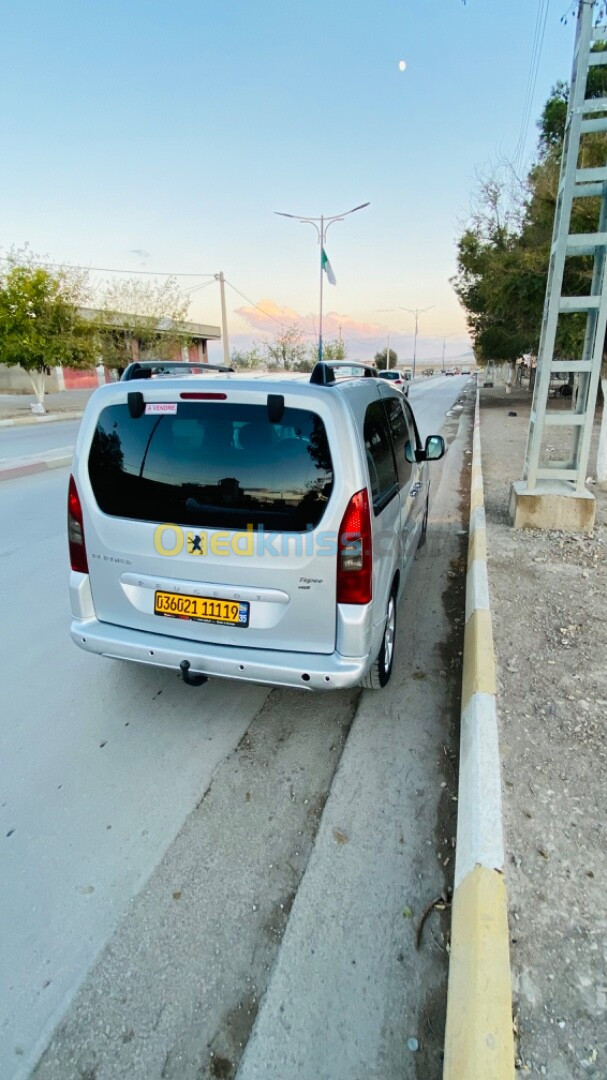 Peugeot Partner 2011 Tepee