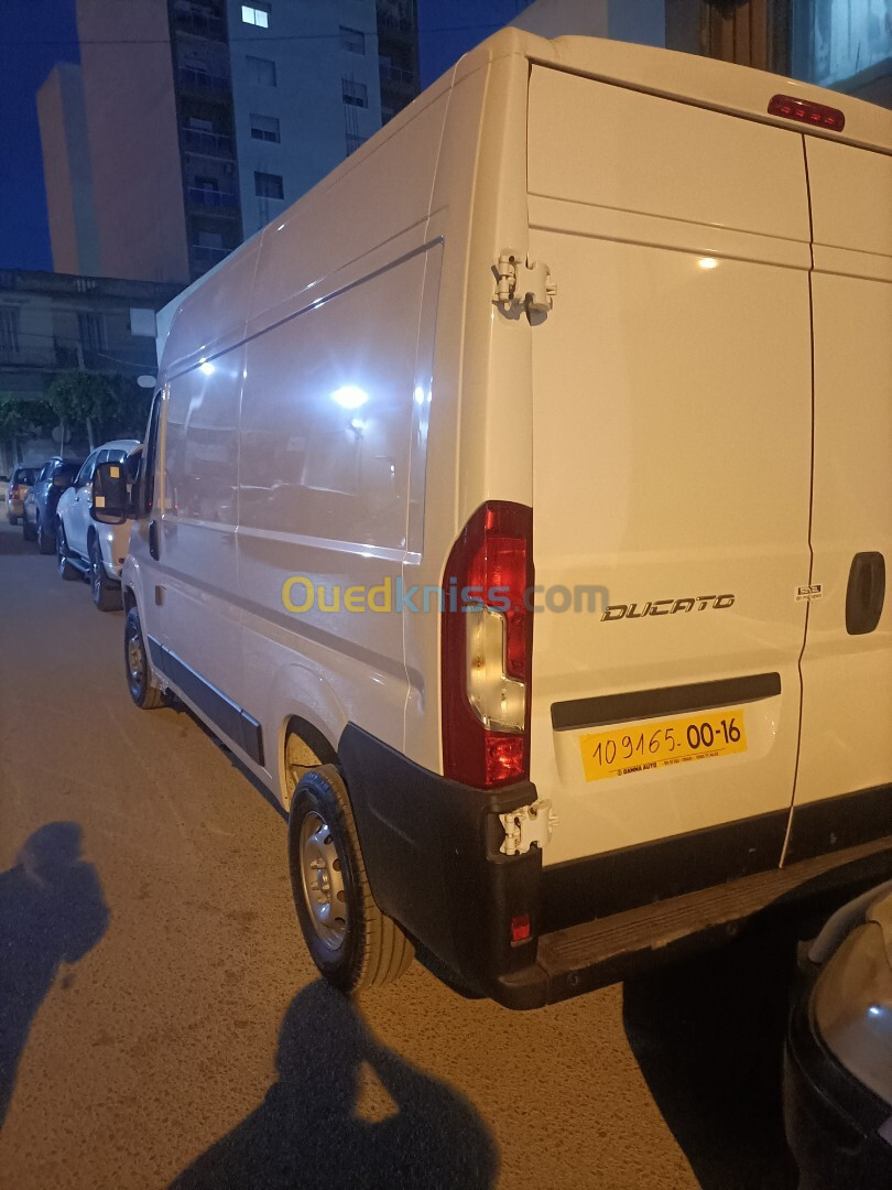 Fiat Ducato 2024 