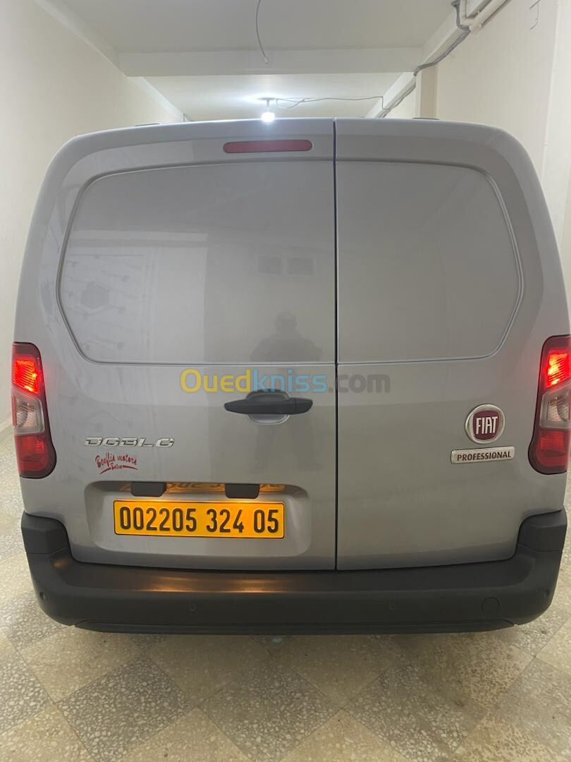 Fiat Doblo 2024 Professional