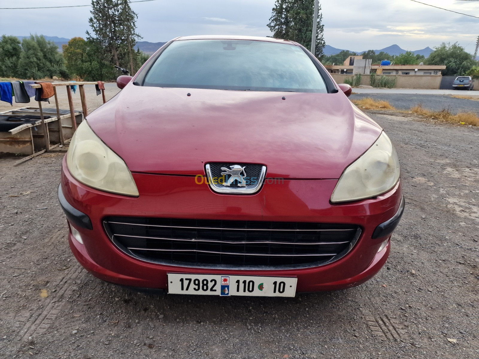 Peugeot 407 2010 407