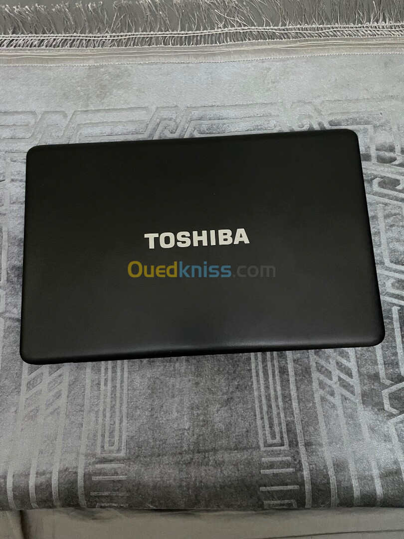  Toshiba SATELLITE PRO L670-103 caba yji sans batterie 