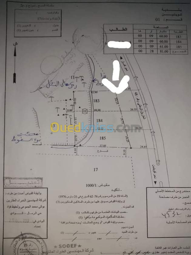 Vente Terrain El oued Kouinine