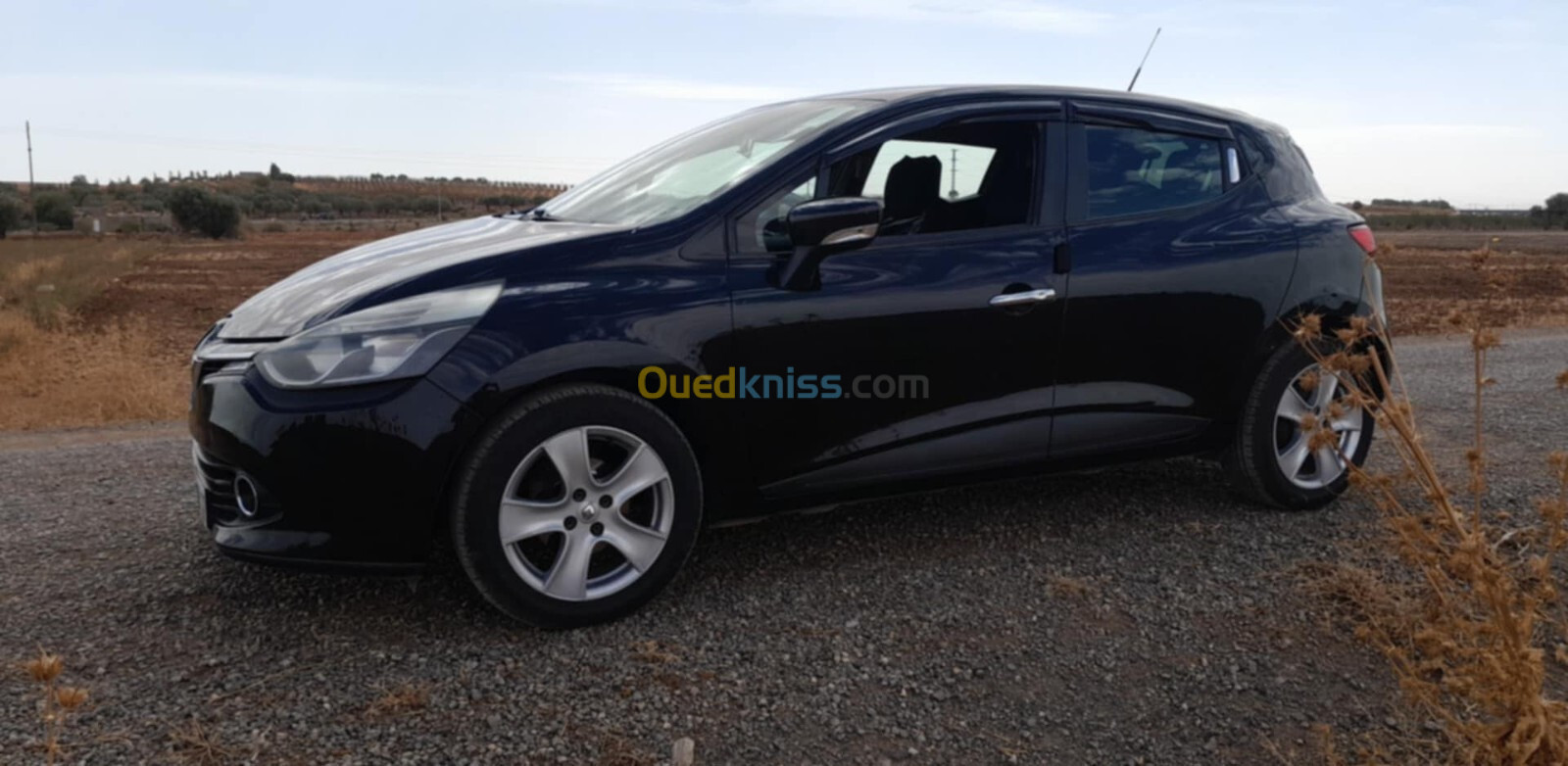 Renault Clio 4 2013 Dynamique