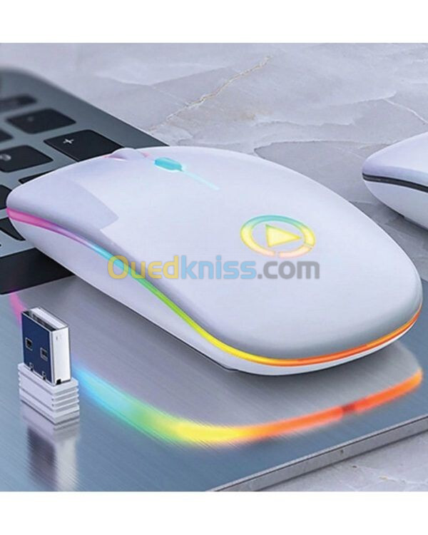 AP100 Wireless charging mouse