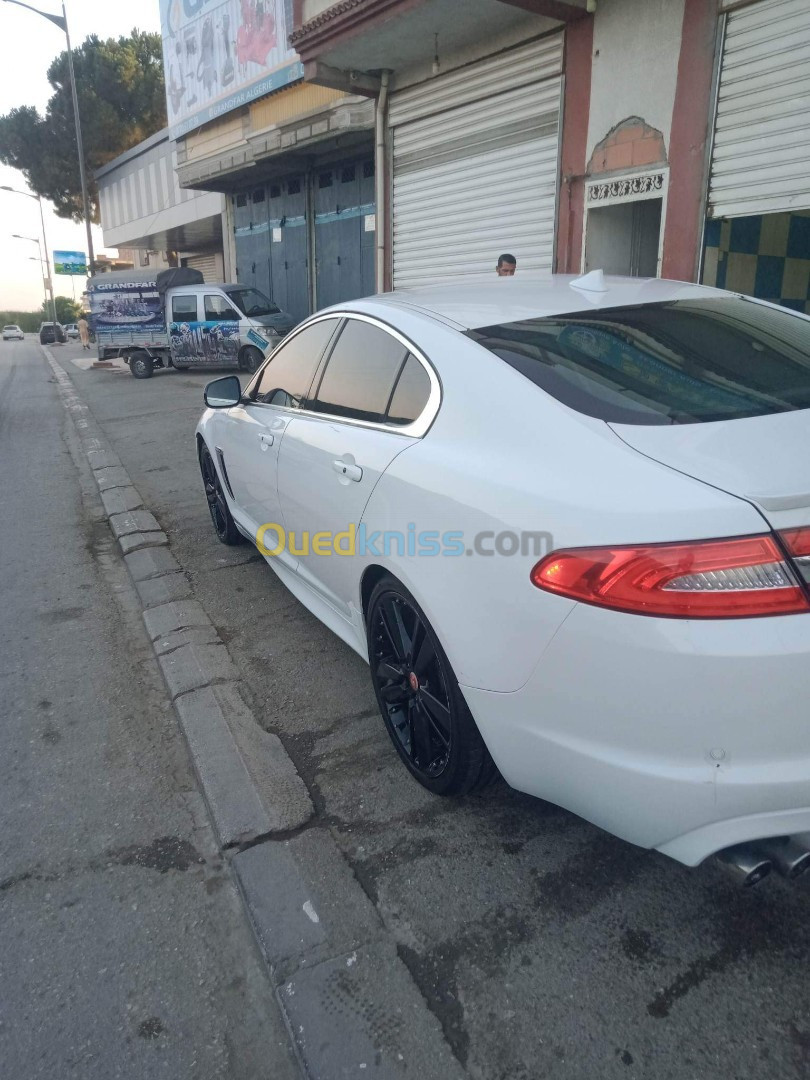 Jaguar XF Sportbrake 2014 R EDİTİONS