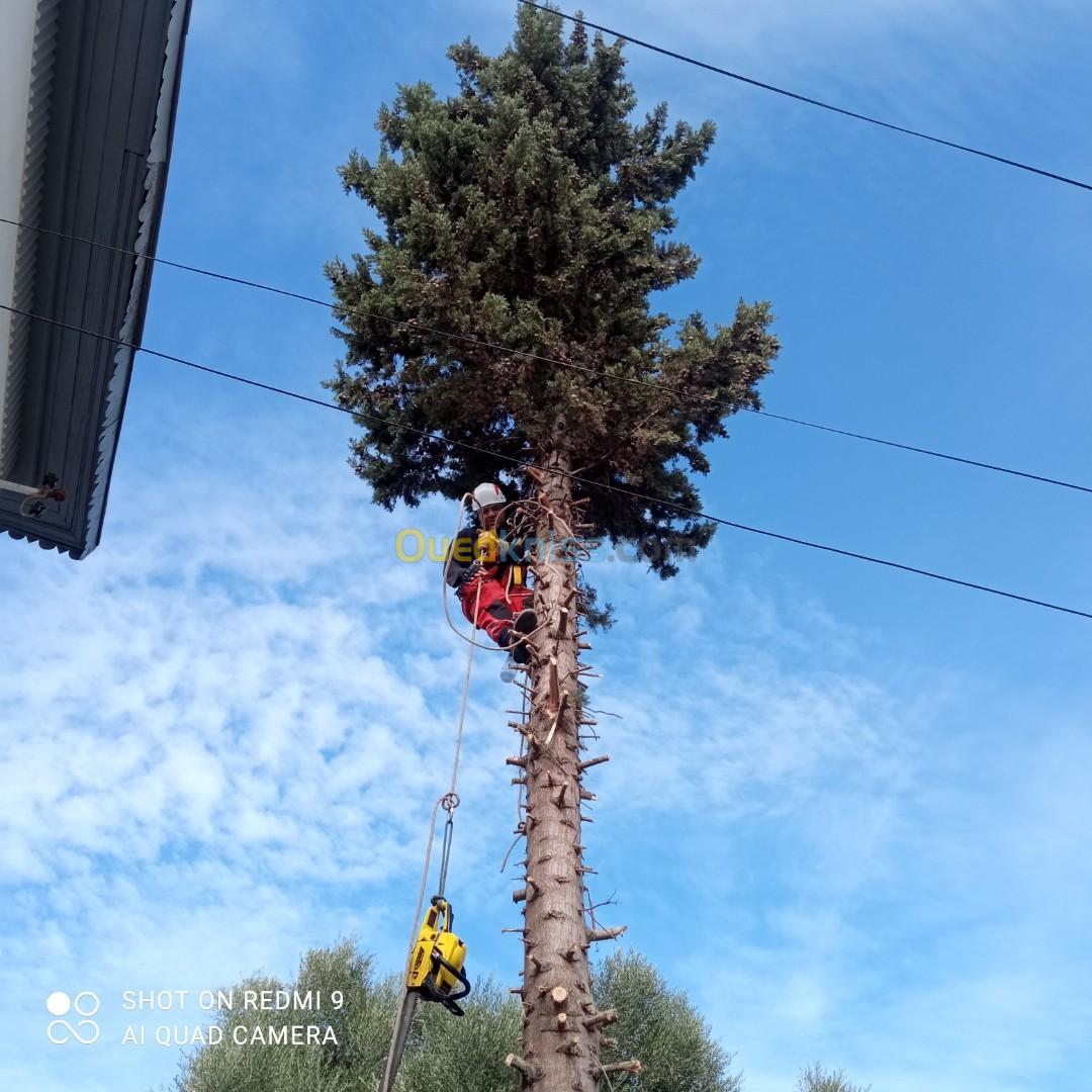 Nettoyage de façade et élagage d'arbre 