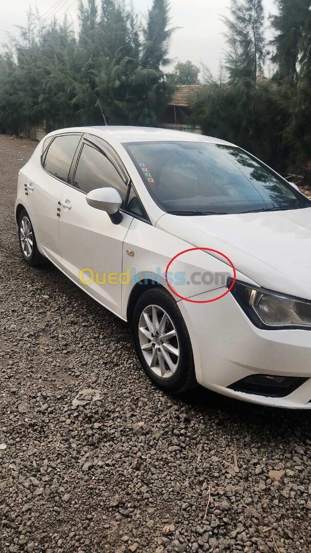 Seat Ibiza 2012 Ibiza