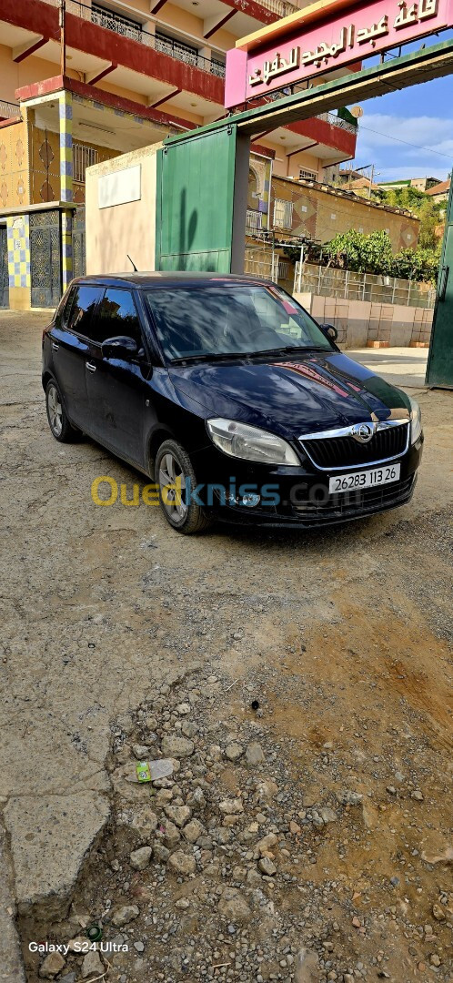 Skoda Fabia 2013 Fresh