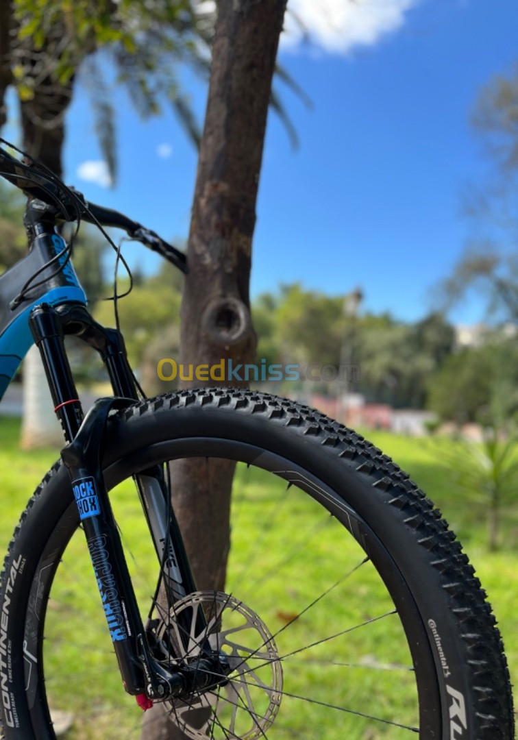 Enduro Giant carbon - jantes Carbon- L 27,5