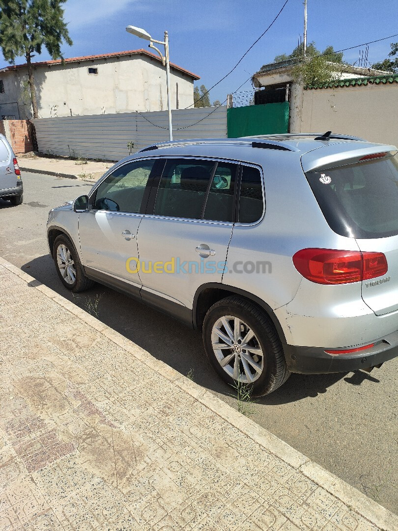 Volkswagen Tiguan 2013 bluemotion