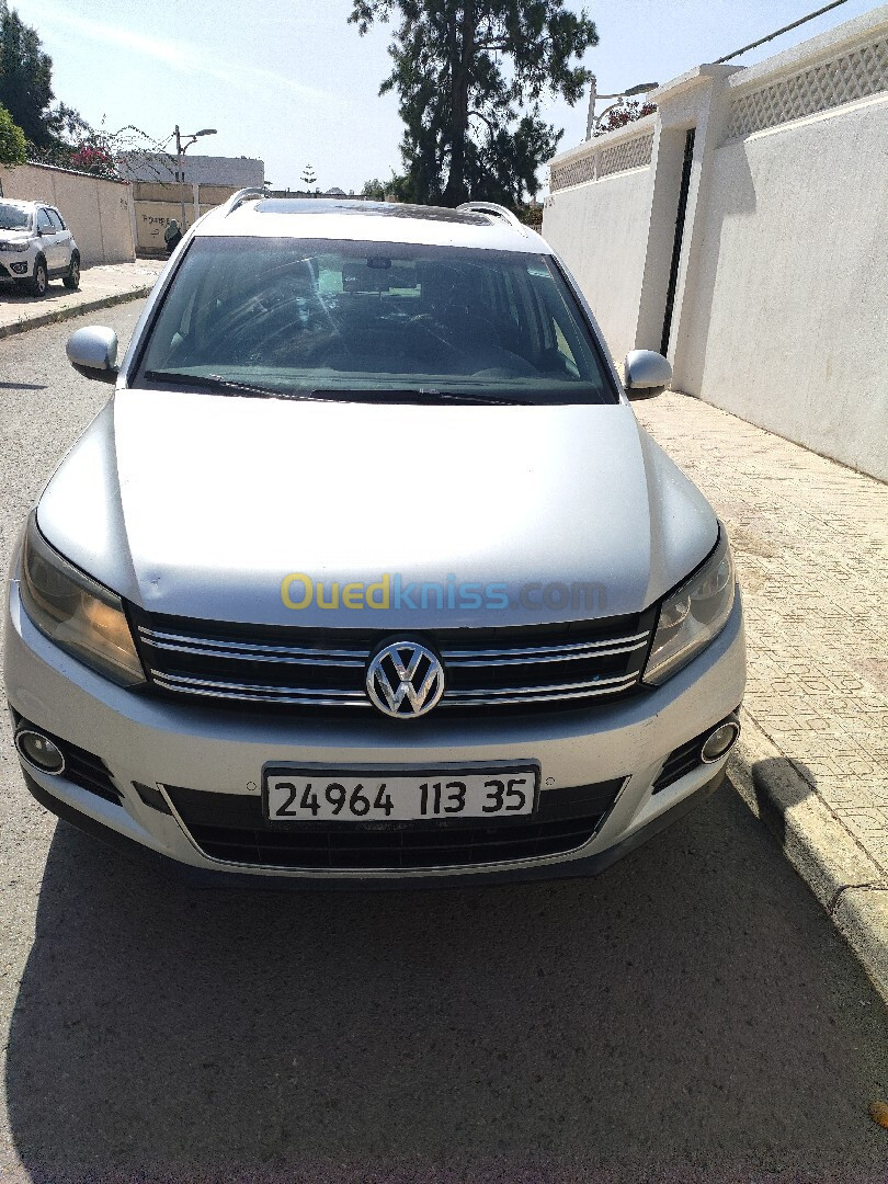 Volkswagen Tiguan 2013 bluemotion