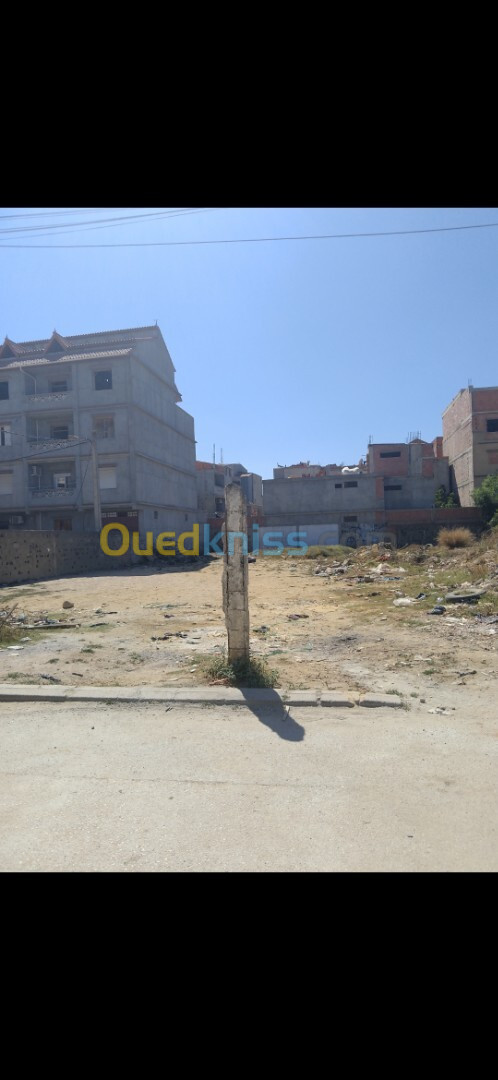 Vente Terrain Alger Reghaia