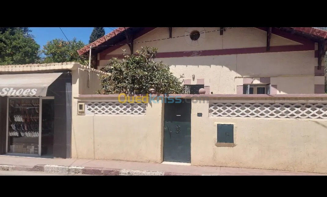 Vente bien immobilier Tlemcen Tlemcen