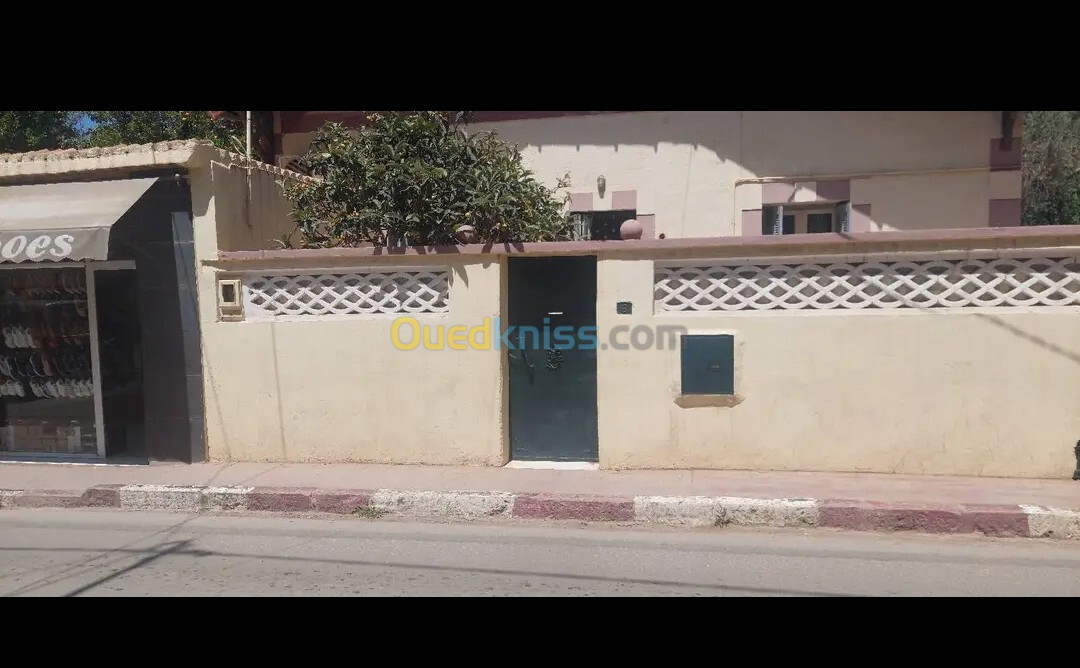 Vente bien immobilier Tlemcen Tlemcen