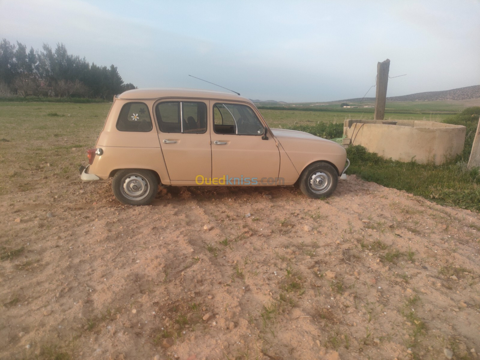 Renault 4 1985 GTL