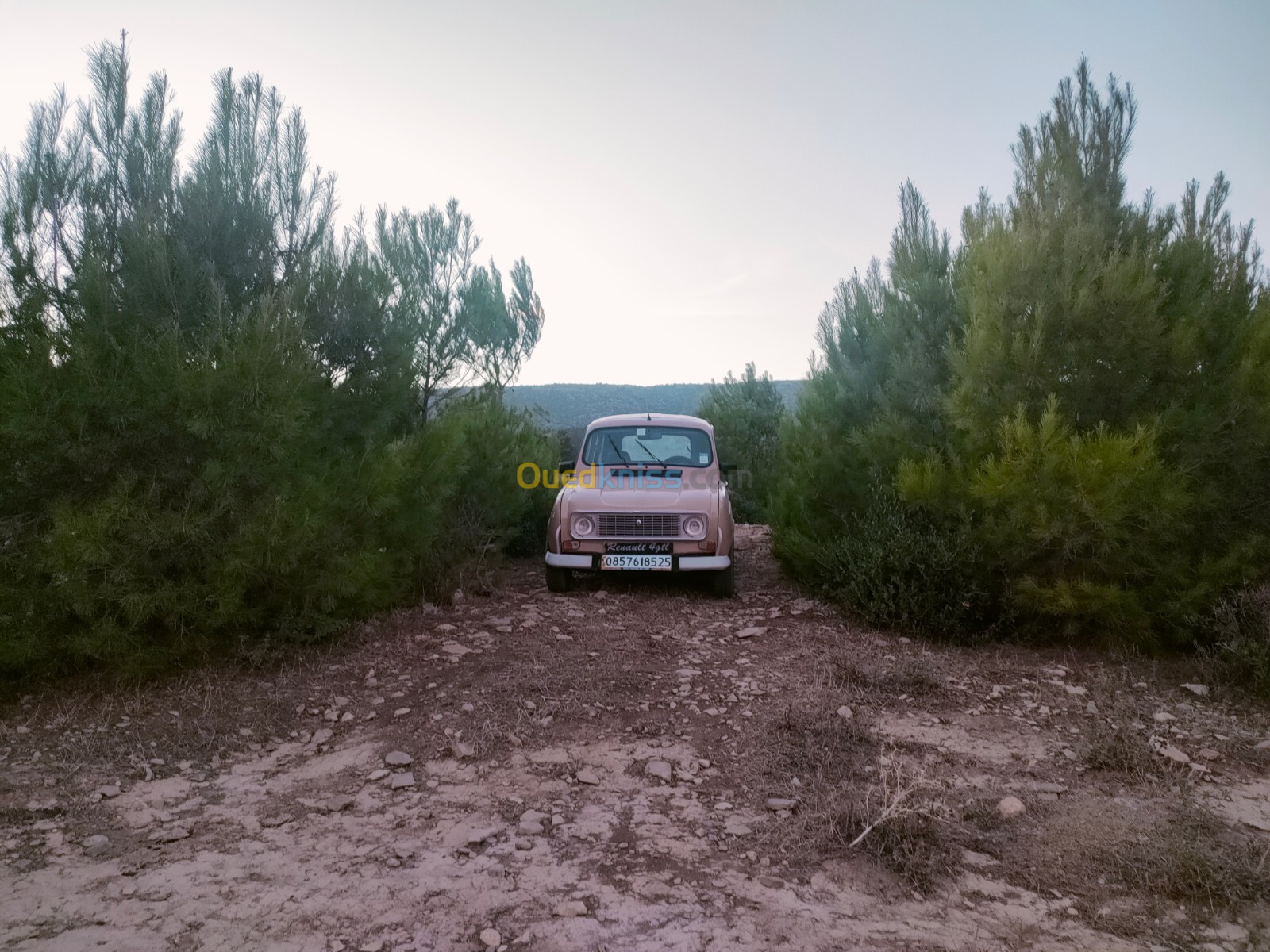 Renault 4 1985 GTL