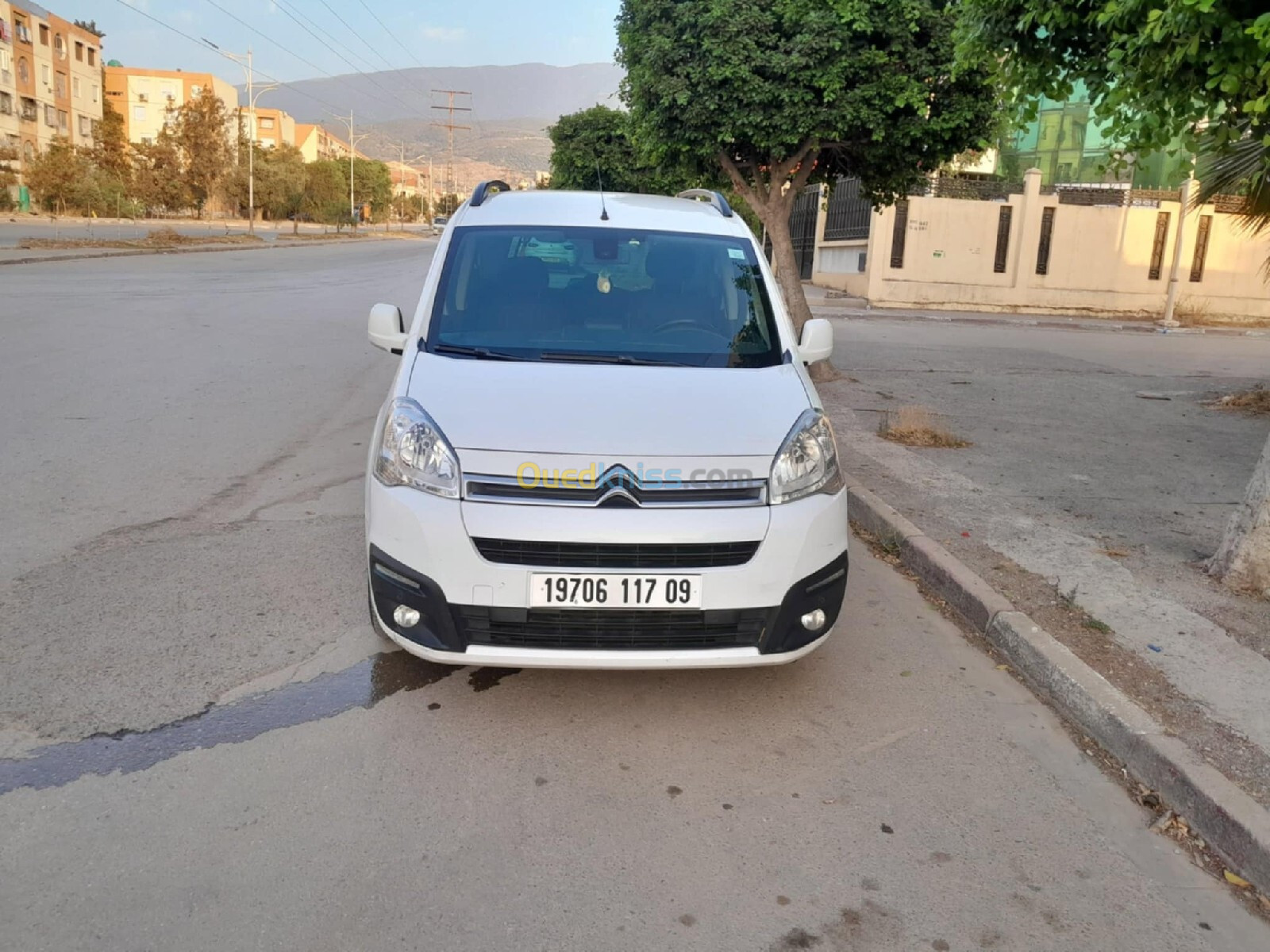 Citroen Berlingo 2017 Berlingo