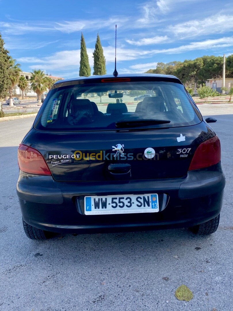 Peugeot 307 2004 307