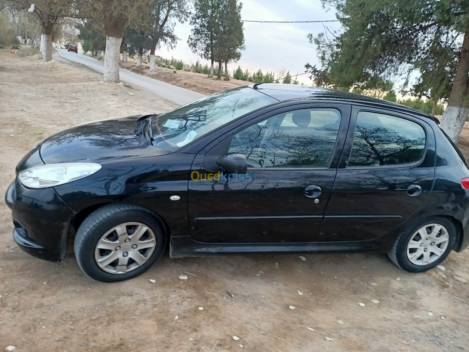 Peugeot 206 plus 2010 