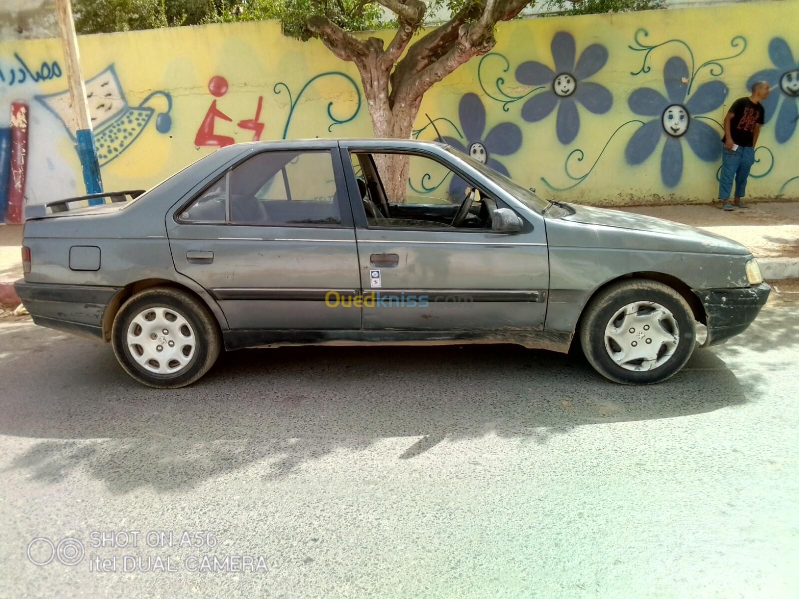 Peugeot 405 1993 405