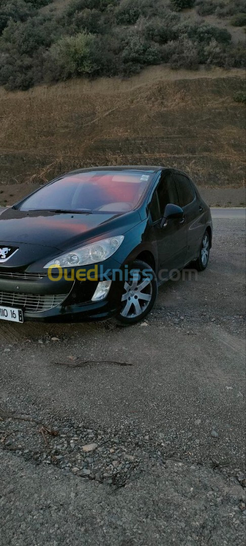 Peugeot 308 2010 Platinum 