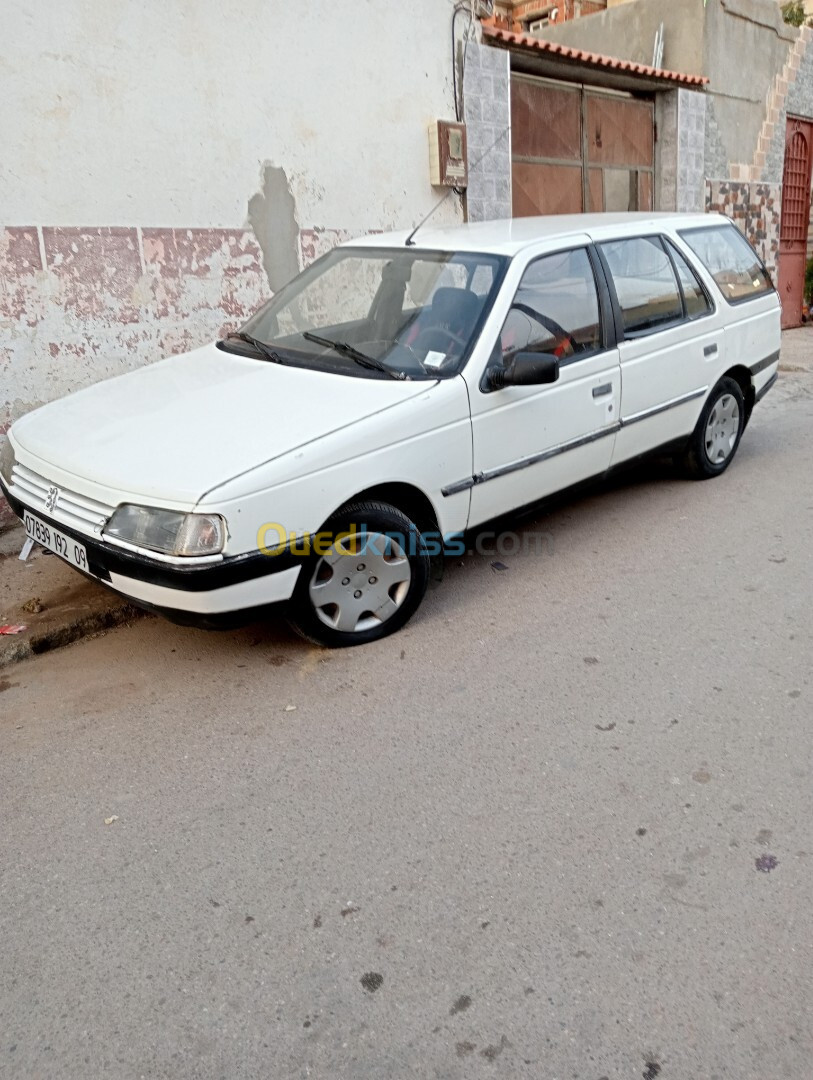 Peugeot 405 1992 405