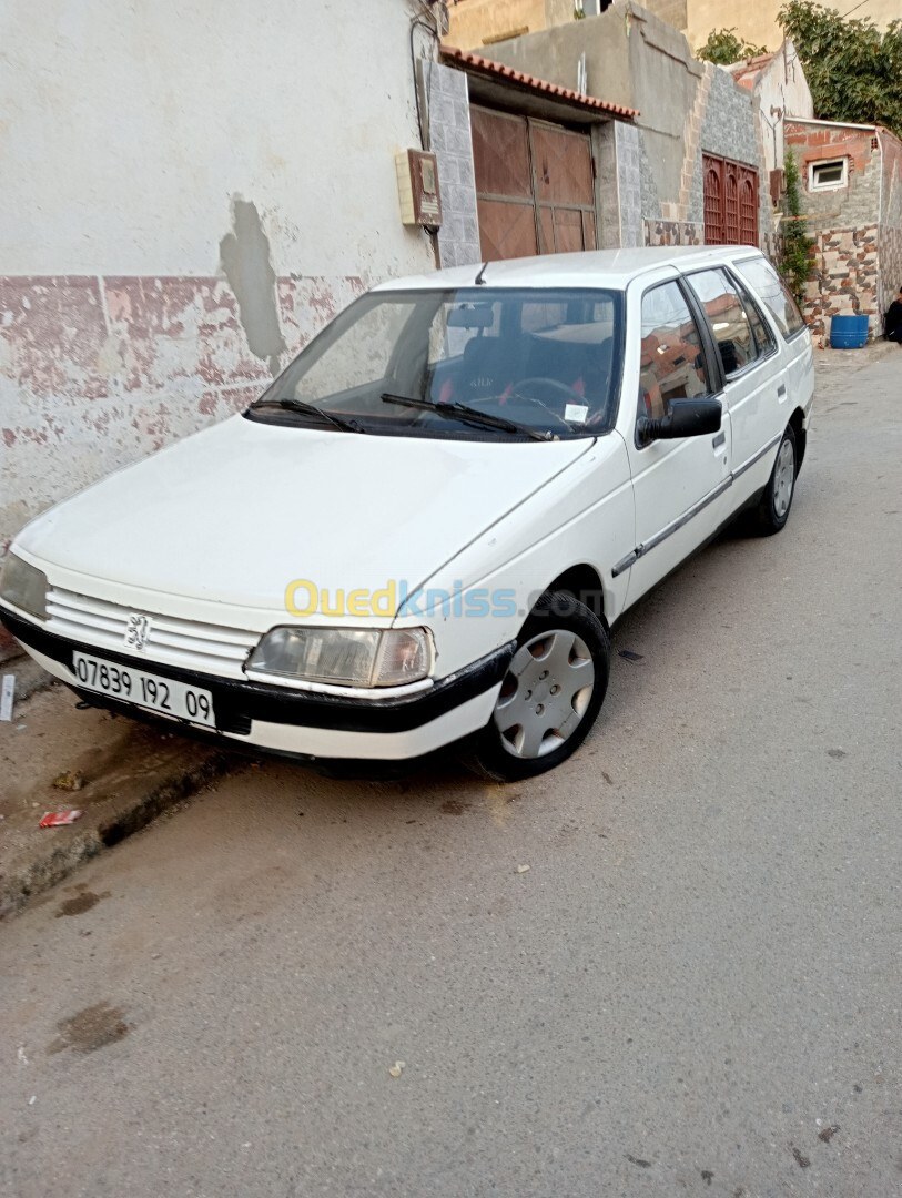 Peugeot 405 1992 405