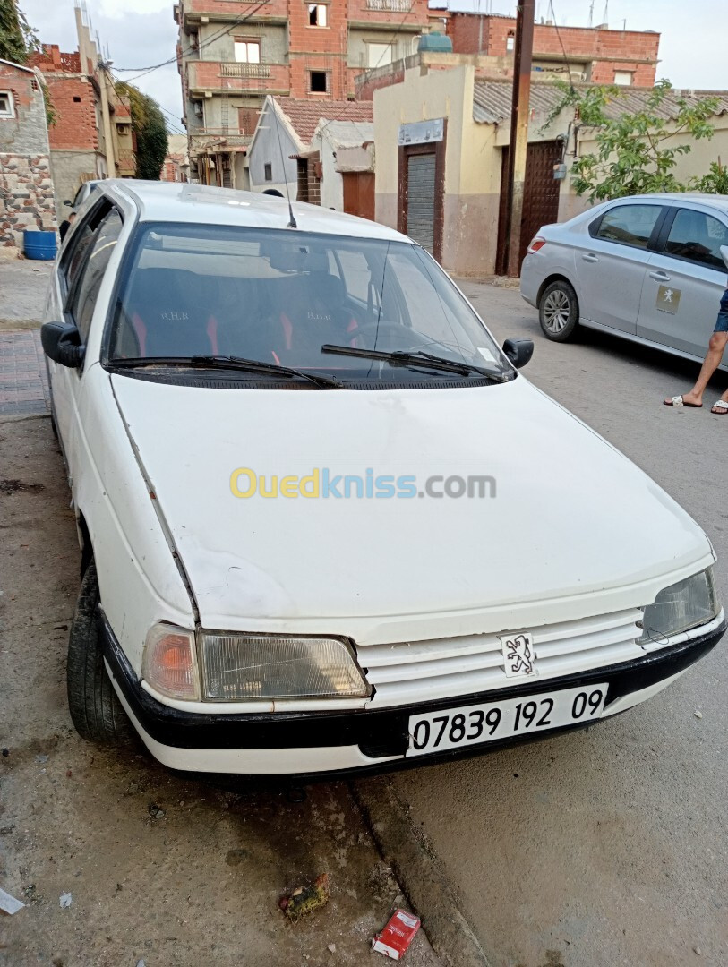 Peugeot 405 1992 405