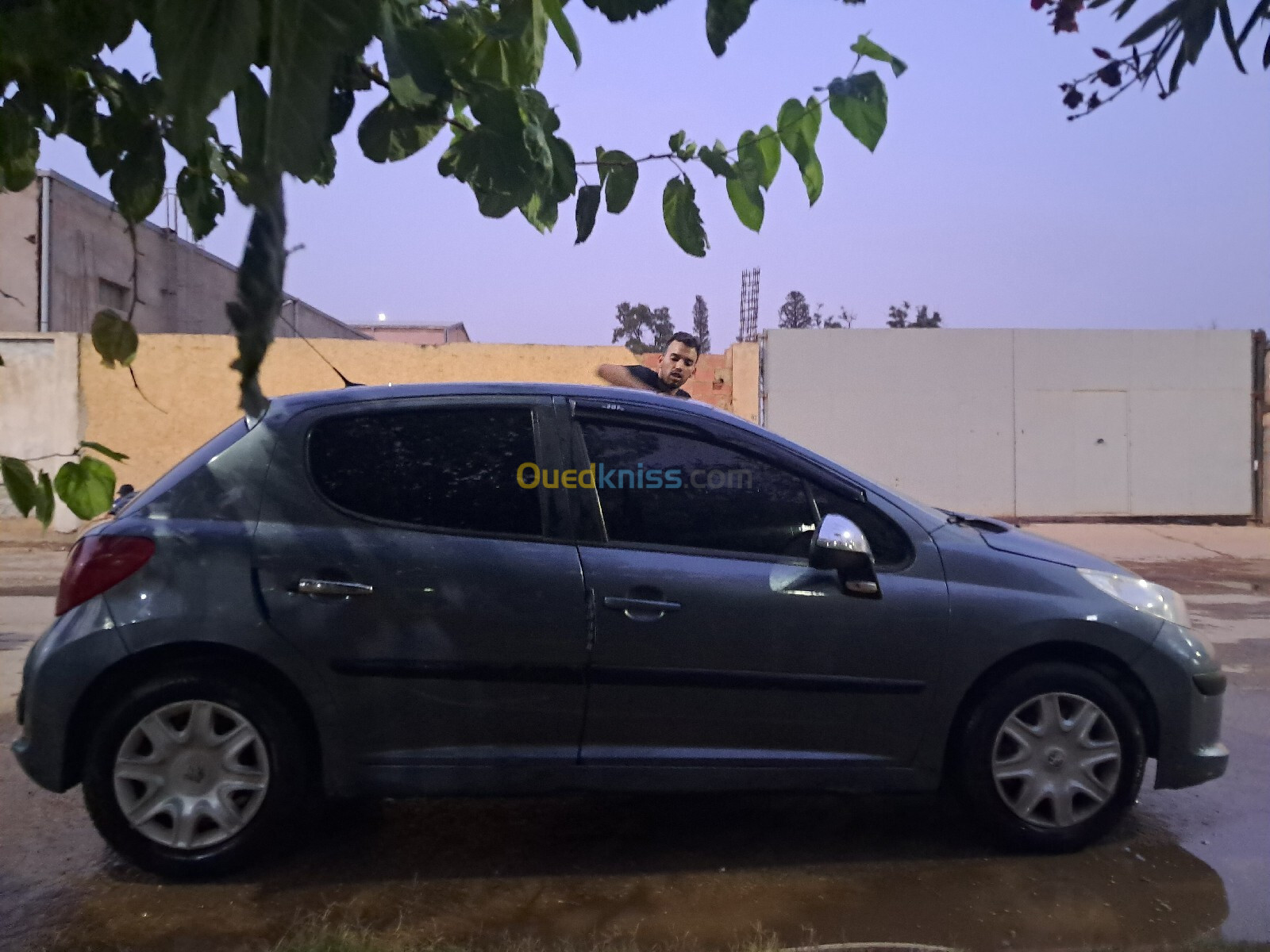 Peugeot 207 2007 Premium