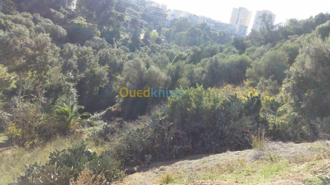 Vente Terrain Alger Bouzareah