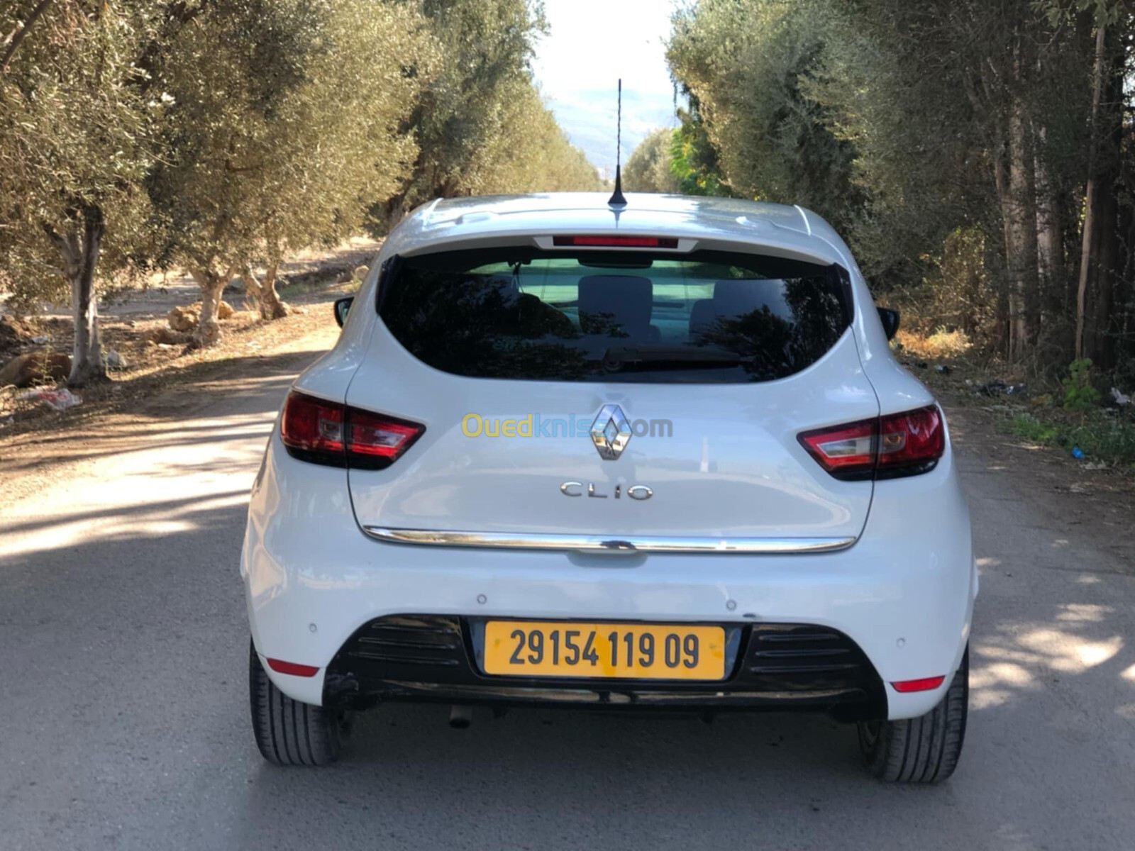 Renault Clio 4 2019 Limited 2