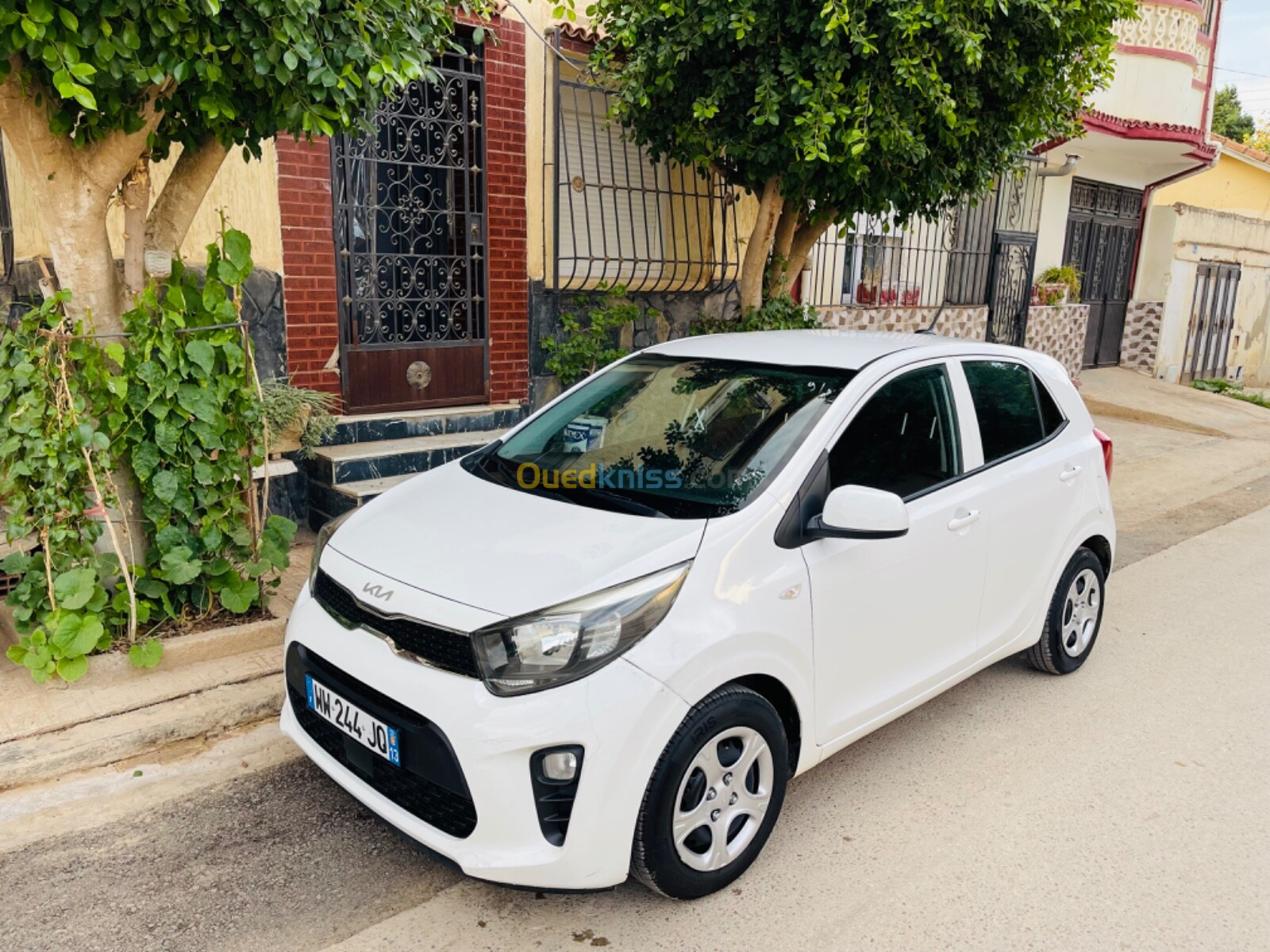 Kia Picanto 2023 Morning