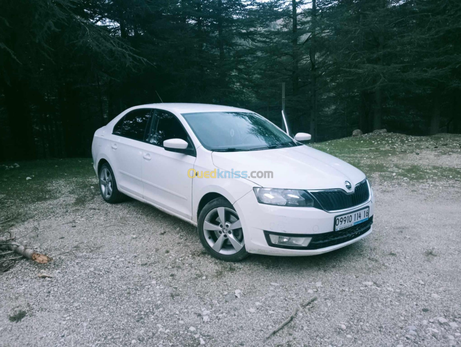 Skoda Rapid 2014 Rapid