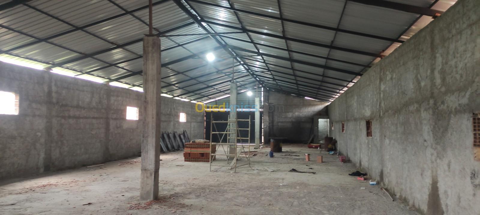 Location Hangar Blida Bouinan