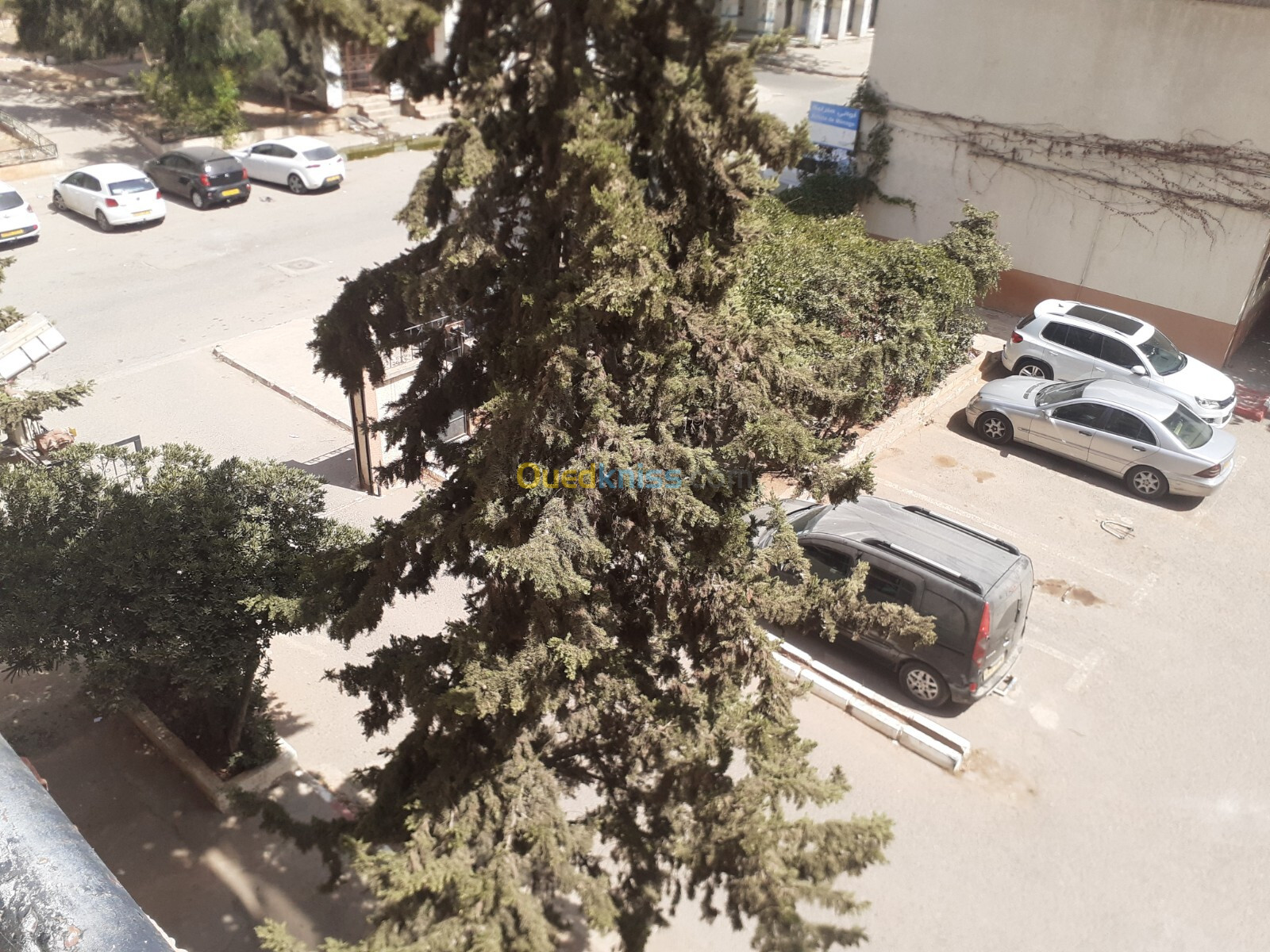 Location Appartement F3 Alger Mohammadia